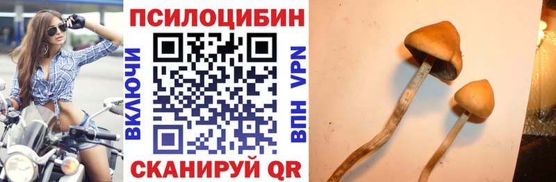 Галлюциногенные грибы Psilocybine cubensis  OMG зеркало  Гаврилов Посад 